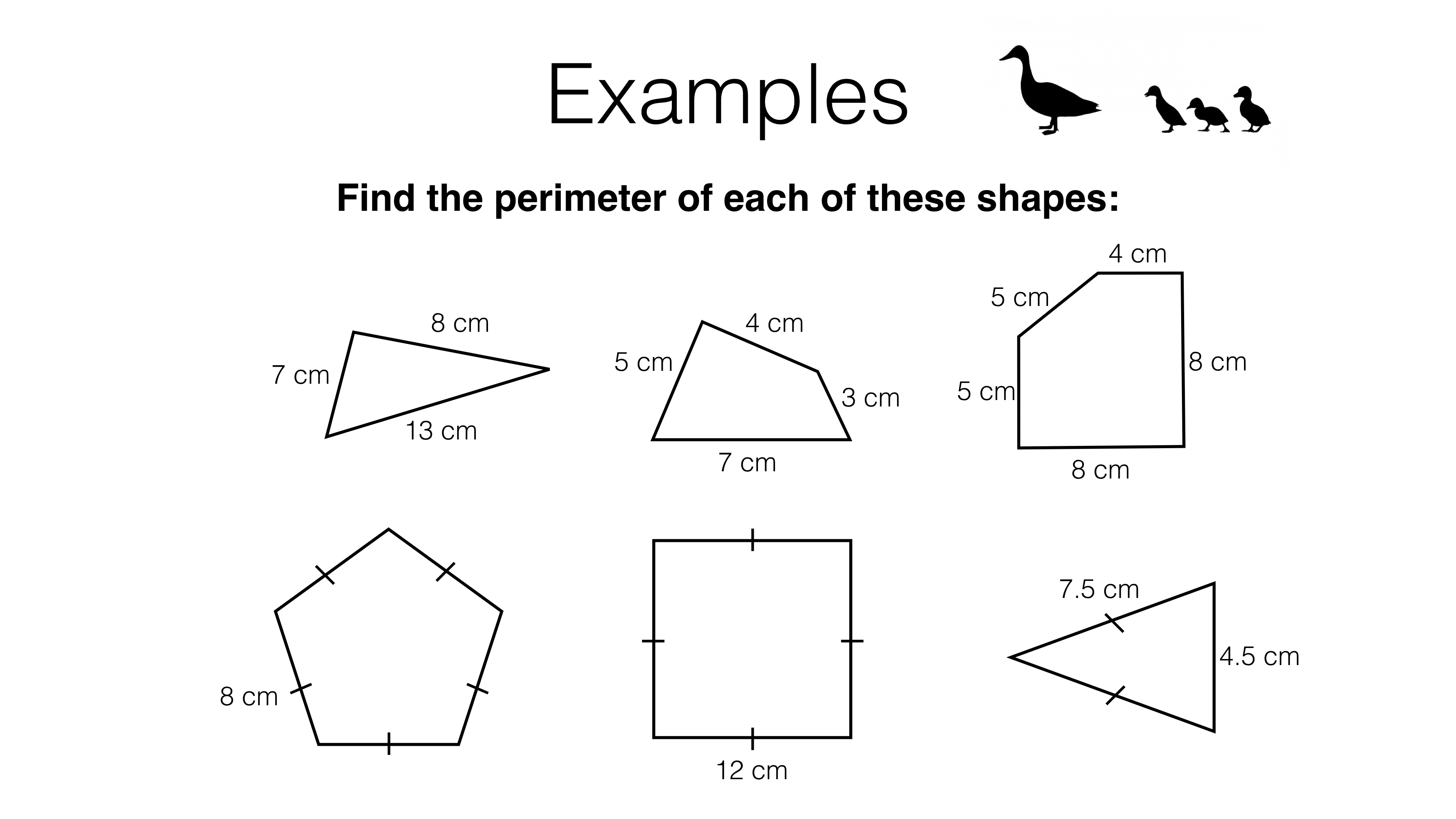 perimeter of regular polygons problem solving